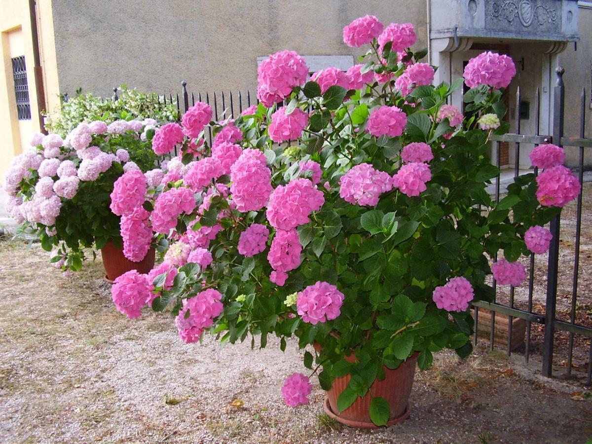 Agriturismo Dea Valfabbrica Bagian luar foto